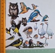 34 piece Flock Of Birds diecut
