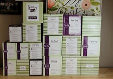 Scentsy WARMERS Plug In-Mid