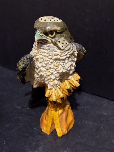 Vintage peregrine falcon - peregrine,