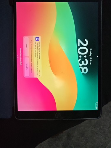 Ipad pro 256gb - 256gb, inch