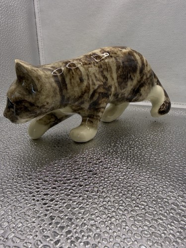 Winstanley tabby cat size2 - winstanley, in
