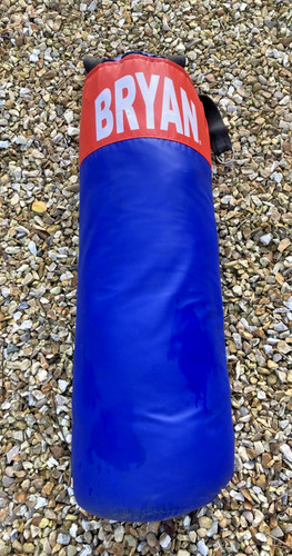 Bryan punch bag good condition - punch,