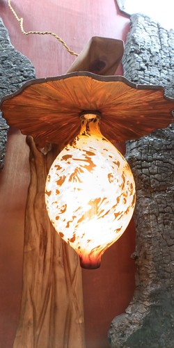 Handmade applewood wall light - wall,