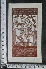 WUNDERKAMMER B BOOKPLATE 618 -