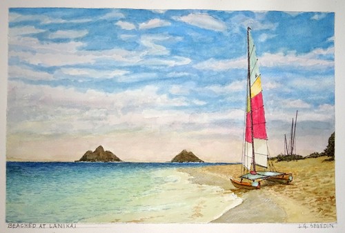 Hawaii watercolor painting - hawaii,