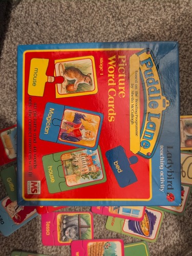 Puddle lane picture word cards - puddle,