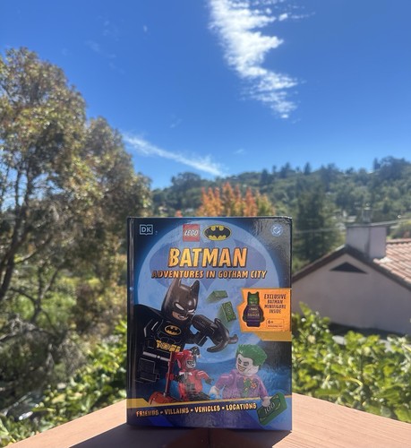 Lego batman adventures - batman, in