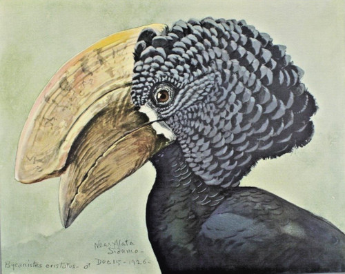 1926 special publication - 1926-30,