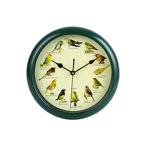 Bird wall clock - wall, singing
