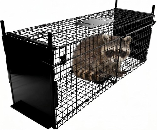 Animal trap live catch - live, cage