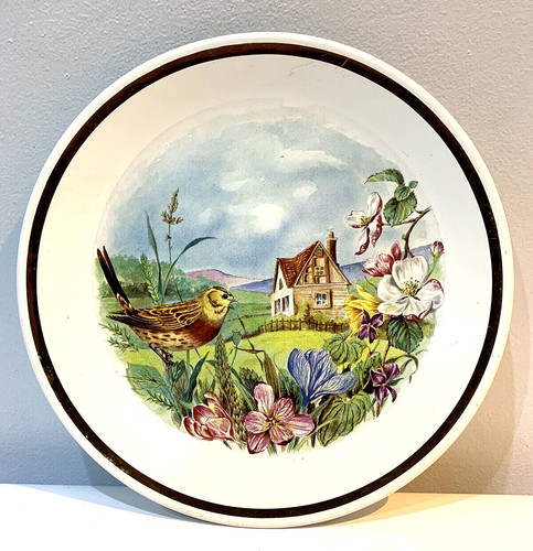 Vintage wade ceramic plate - wade,