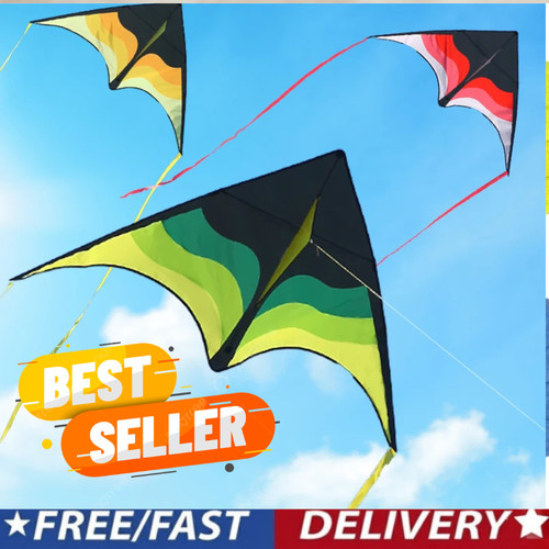 Yongjian large delta - kite, for