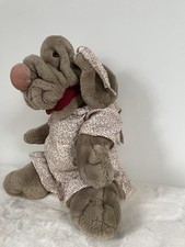 Shar - Pei Wrinkles The Dog