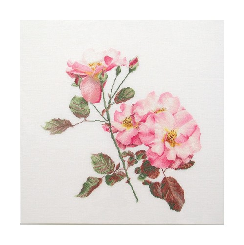 Thea gouverneur counted - thea,