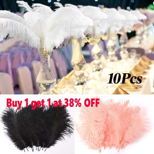 10x 30cm large - 25-30cm, ostrich