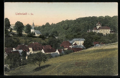 Liebstadt view of - in, sa.,