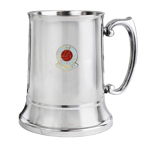Coventry city football club - city,