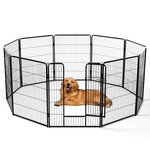 Dog playpen indoor with - dog,