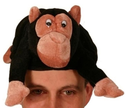 Monkey chimp novelty - monkey/chimp,