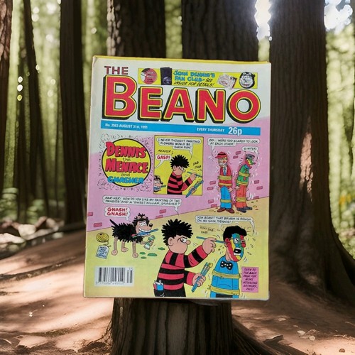 Beano comic 1990s 2563 - no.,