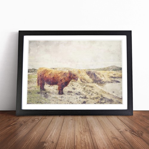 Highland bull cow vol - highland, vol.3