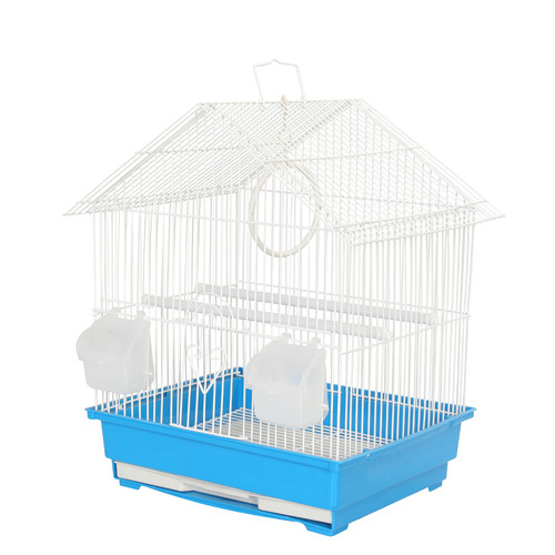 Lima blue travel bird - travel,