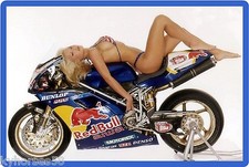 Red Bull Energy Drink