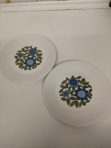 Pair vintage 1960s g - of,