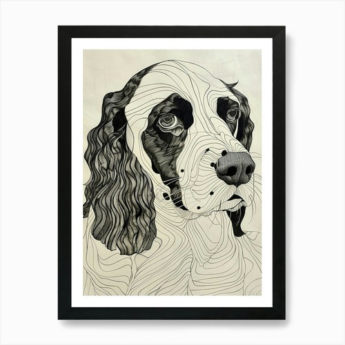 English springer spaniel line - english,