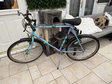 Raleigh Massif Unisex Mountain Bike Retro 90’s Old School Bargain