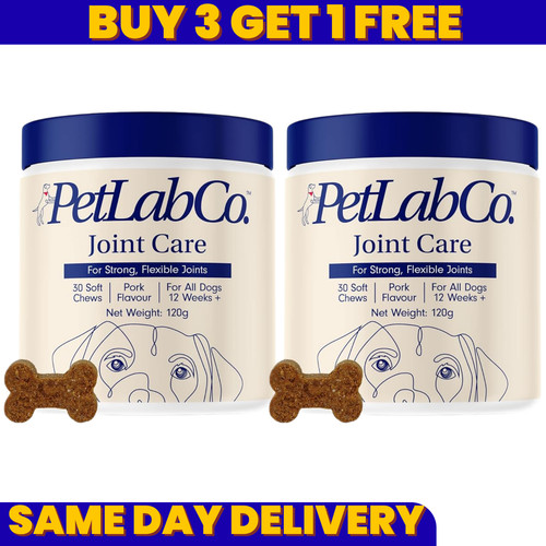 Pack petlab co probiotic - 2,