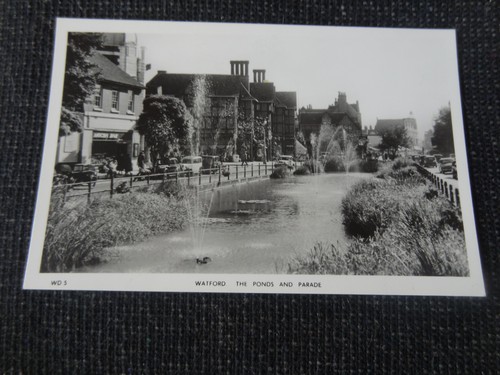 The ponds parade - &,