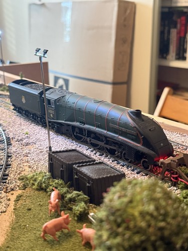 Bachmann gauge 955 br - bachmann, 31-955