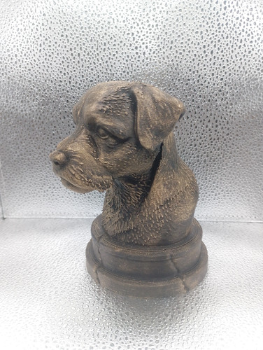 Border terrier bust - border,