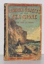 Common Objects of Sea-Shore