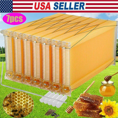 7ps upgraded auto oozing honey - auto,