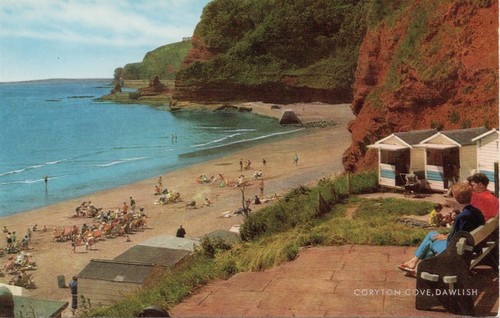 Croyton cove dawlish salmon - dawlish-,