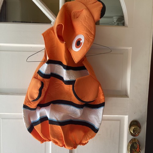 Finding dory nemo clownfish - dory,