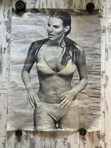 Vintage raquel welch bikini - raquel,