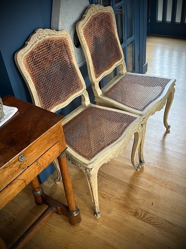 French louis revival cane - french,