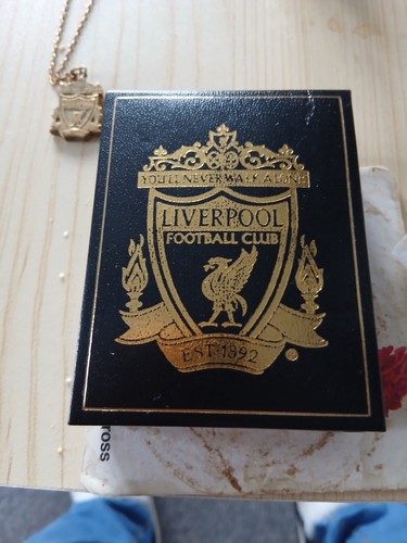 Liverpool lfc football - fc,