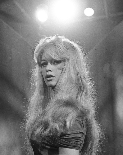 Brigitte bardot 8x10 - brigitte,