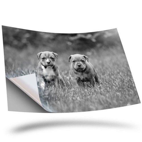 Vinyl sticker bw - a2,