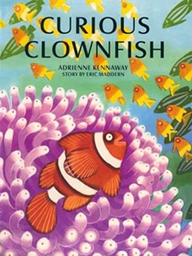 Curious clownfish adrienne - -,