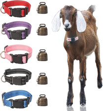 5 Pack Reflective Nylon Goat &