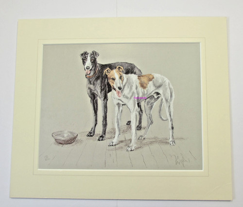 Greyhounds limited edition - greyhounds,