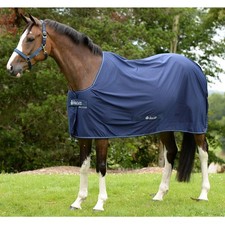 Bucas Power Cooler Rug - Navy