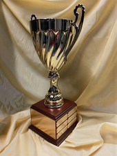 Large 20.5" Metal Cup Award