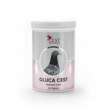 Cest Pharma Gluca Cest 600g -
