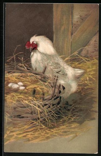 Hen hatching her eggs easter - hen,